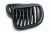 Grill (atrapa) BMW Z3 01.96-02 BLACK